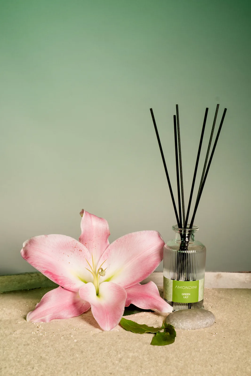 AMONDINI Green Lily